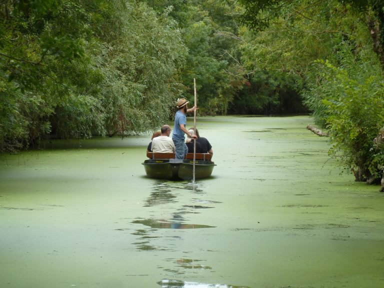 Connaissez-vous l&rsquo;utilité de la Pigouille ?